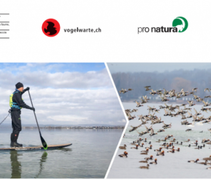 Leaflet: Consideration when Stand Up Paddling